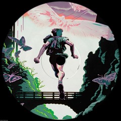 PREMIERE: Amadeo - Net Flex (Love Mix) [Sinial]