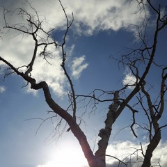 suffed peals