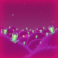 Freedom Throughout The Universe