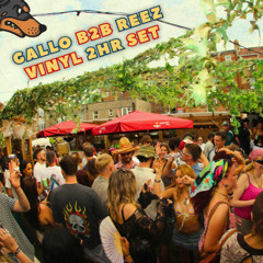 GALLO B2B REEZ OPEN AIR VINYL SET