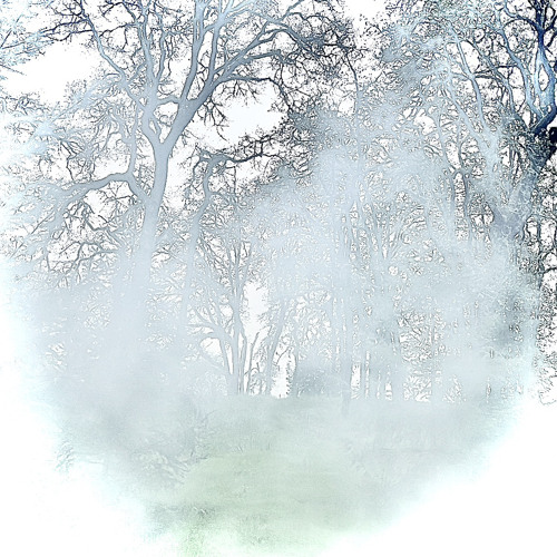 My Szn #♈️ (06brick)