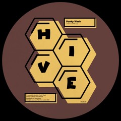 PREMIERE: Punky Wash - Don't Give Up [Hive Label]