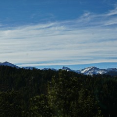 Neural DSP Petrucci Plugin (Spoiler: It Slaps)