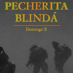 PECHERITA BLINDÁ - Corrido Tumbado Alucin