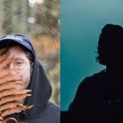 Tanglewood X Old Ways Dickylemons Edit