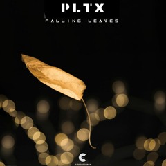 Falling Leaves (Free Download / C Recordings)