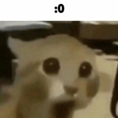 Zzz