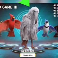 bird game 3