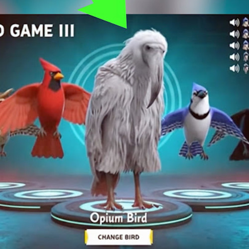 bird game 3