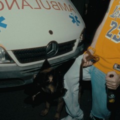 Hiphopologist - Wings (New Version)