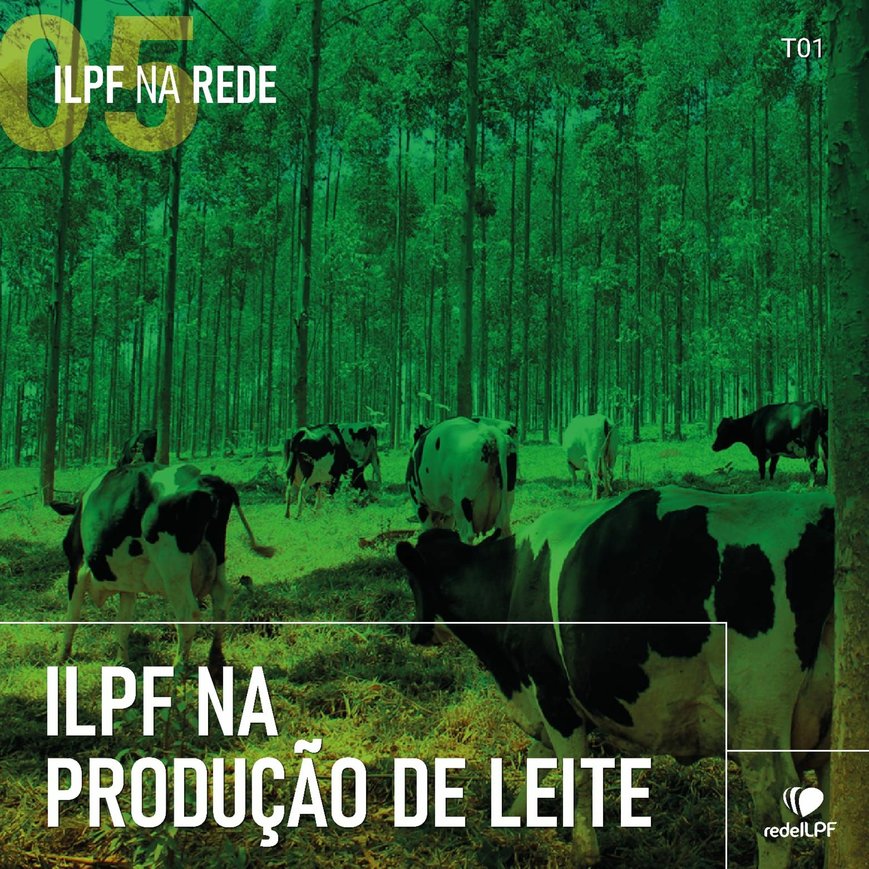 ILPF Na Rede
