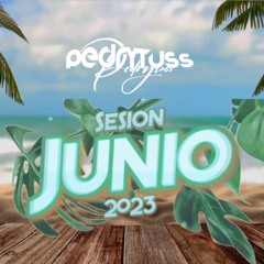 Sesión JUNIO 2023 by Pedro Fernández (Reggaeton, Comercial, Trap, Flamenco, Dembow, TikTok)