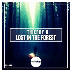 Lost In The Forest By Thierry D