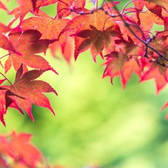Autumn Rewerk 2024