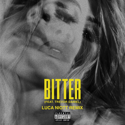 FLETCHER, Trevor Daniel - Bitter (Luca Niott Remix)