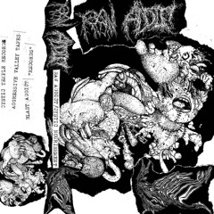 RAW ADDICT - CYSTIC NOURISHMENT SPLIT (2024)(GOREGRIND)