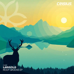 Larigold - Roof Groove