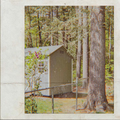 sapling stories EP [2024]