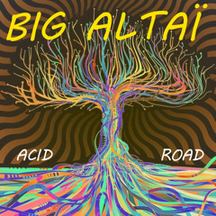 Acid Road