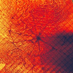 Organoid Dysfunktion