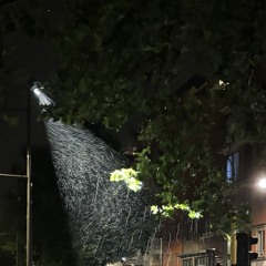 Vocaal experimenteel werk 1min