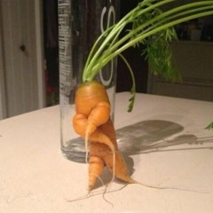 big carrot boy