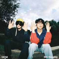 딱10cm만 cover