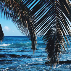 Black Harlow 🍇(Freestyle) Sada baby