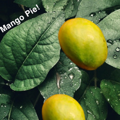 Mango Pie!