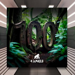 DJ Daniel Maia - Black Ceiling [4 Jungle Records] PREMIERE