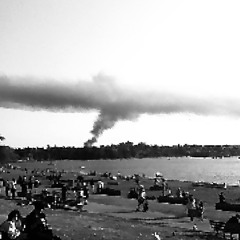 endthisdecline (DEMO)