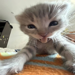 hueta