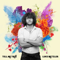 Luke Metzler - Ain't That A Shame