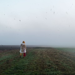 Scoteeron Walk