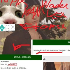 tranquex a faculdadex skichi amarelex e bingex wadex