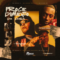 Procedimento da Casa (feat. Mc Negão Original)