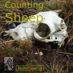 Counting Sheep