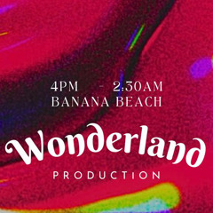 Wonderland 24/4/24 -Roy Heyman B2B Bar Aizner (Santa Teresa, Costa Rica)