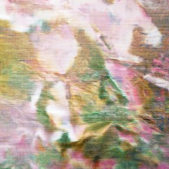 0906EP mlrec002