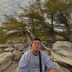 No Other Heart - Mac DeMarco (Cover)