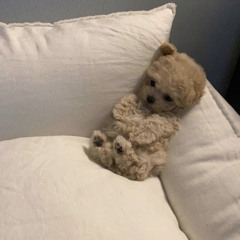 어쿠루브 그게 뭐라고 (cover)