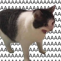 catday - remix