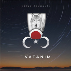 Cankaya Yokusu