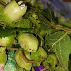 SinSquad mad about bars part 2💯