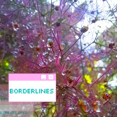 BORDERLINES EP#52 Selecto Bambi invite Amiby