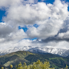 Christmas Time Is Here Mike