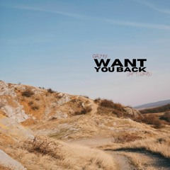 want you back (feat. 916frosty) [prod. NextLane x Guala Beatz]
