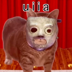 Slipknot UIIA cat