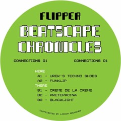 Premiere: B2 - Flipper - Pretepacina [CONNECTIONS01]