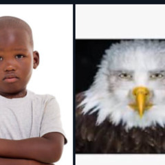 "imete 1.3/20€" (freestyle) (Požeminis reipas)(Laisvo Stiliaus Repas)